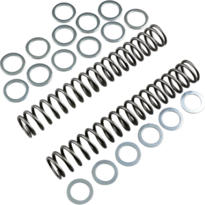 Race Tech Fork Springs